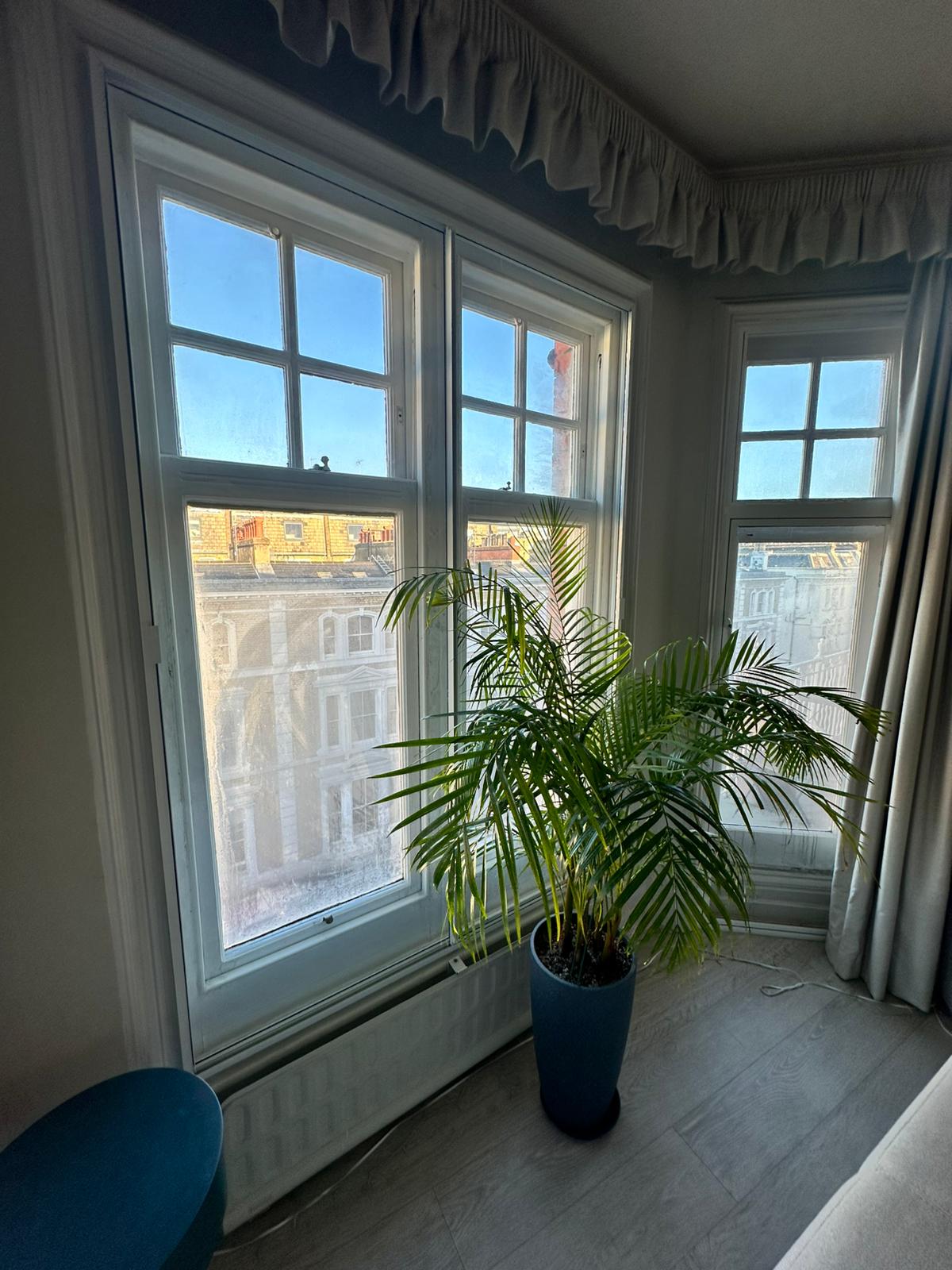 WhatsApp Image 2026-02-01 at 11.13.17